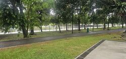 Blk 406 Pandan Gardens (Jurong East), HDB 3 Rooms #589582301